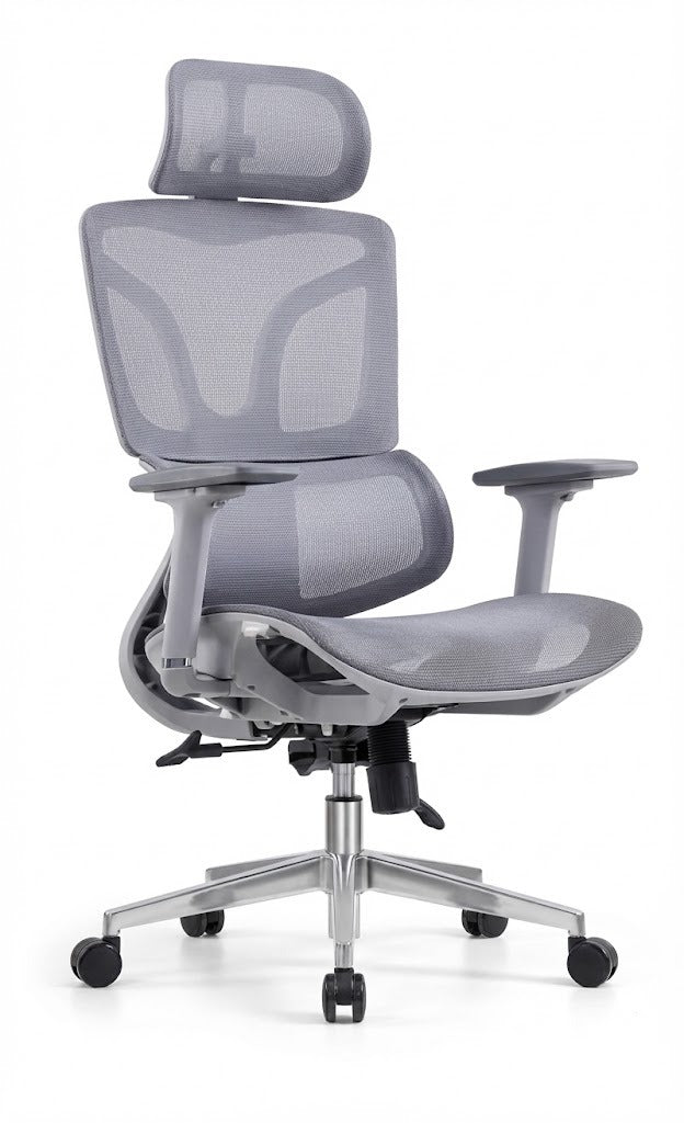 Ergonomic Mesh High Back Chair, With Lower Back Support, Headrest & Mesh Seat, 4D-Adjustable Arms, Chrome Base with Nylon Casters, Grey - DAN A-217