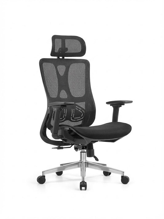 Ergonomic Mesh High Back Chair, With Headrest & Mesh Seat, 4D-Adjustable Arms, Chrome Base with Nylon Casters, Black - DAN A-216