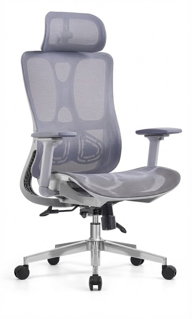 Ergonomic Mesh High Back Chair, With Headrest & Mesh Seat, 4D-Adjustable Arms, Chrome Base with Nylon Casters, Grey - DAN A-216