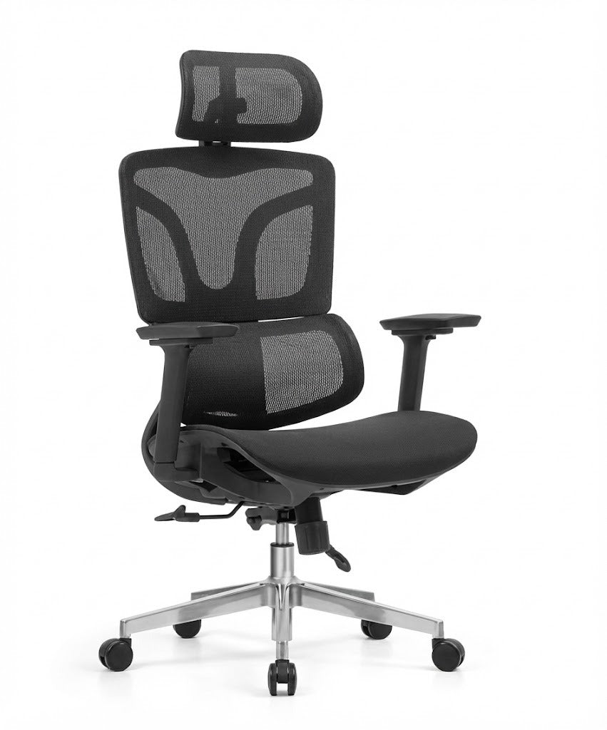 Ergonomic Mesh High Back Chair, With Lower Back Support, Headrest & Mesh Seat, 4D-Adjustable Arms, Chrome Base with Nylon Casters, Black - DAN A-217