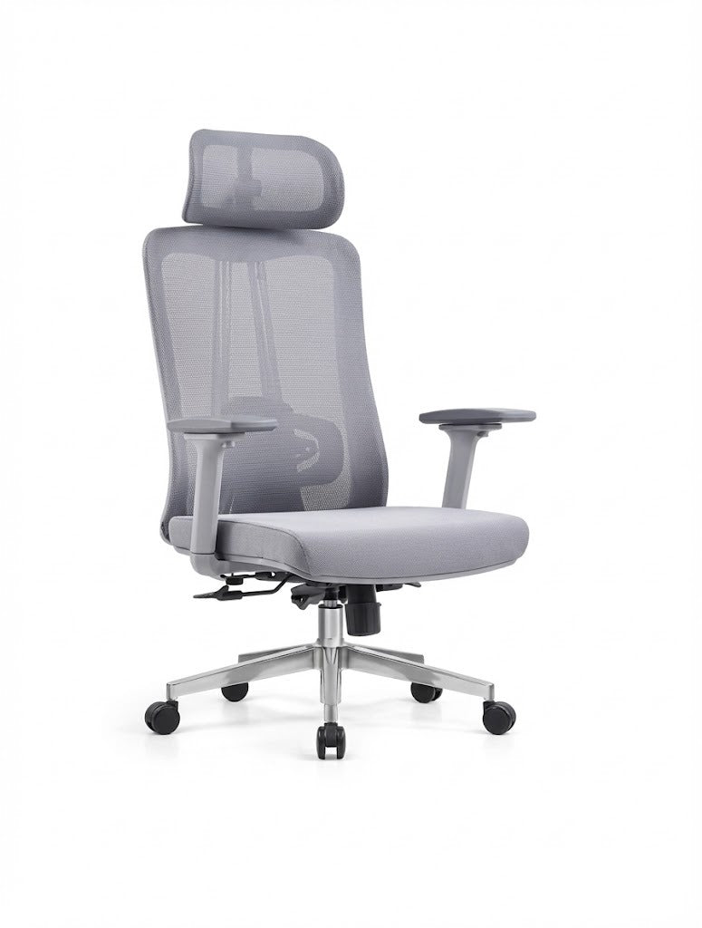 Ergonomic Mesh High Back Chair, With Headrest, 4D-Adjustable Arms, Chrome Base with Nylon Casters, Grey - DAN A213-H